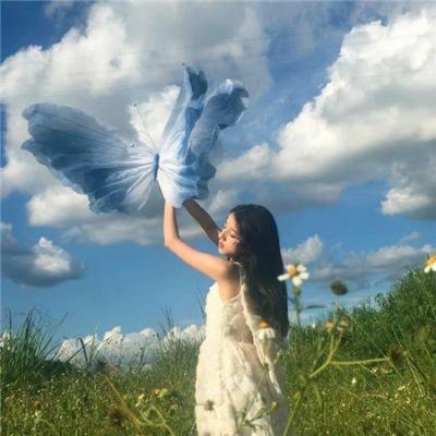 泽西海岸凶鲨案